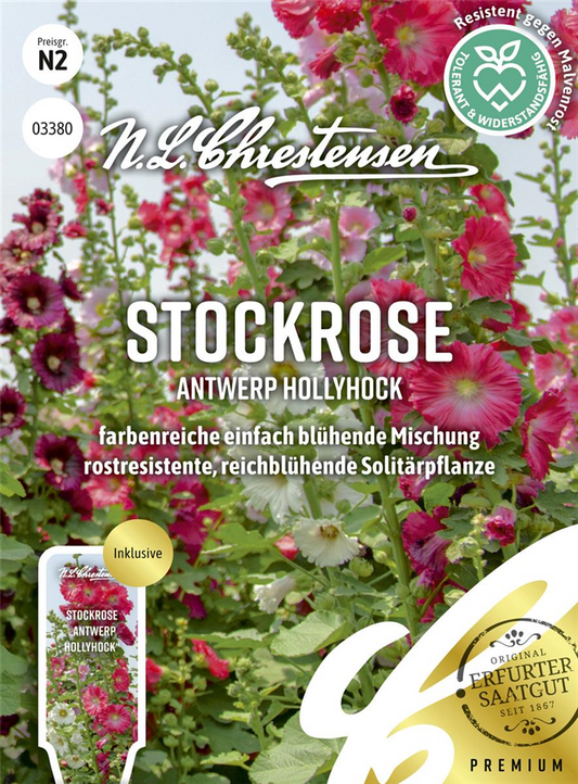 Stockrosensamen 'Antwerp Hollyhock'