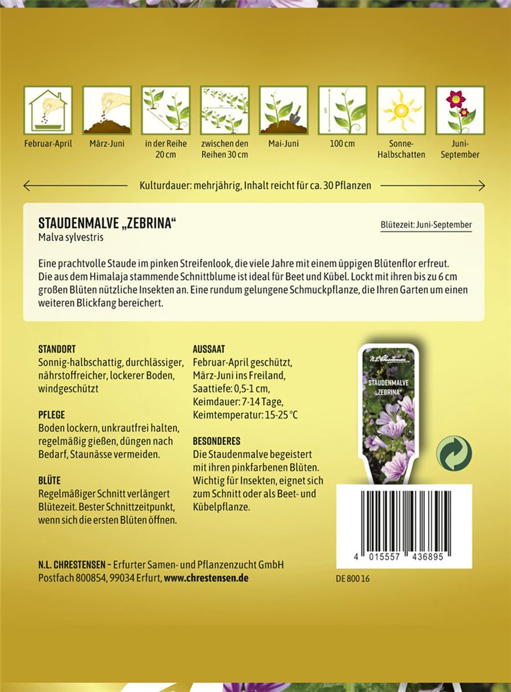 Malvensamen 'Zebrina'