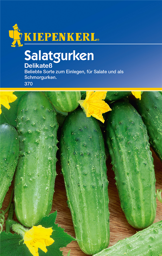Gurke 'Delikateß'