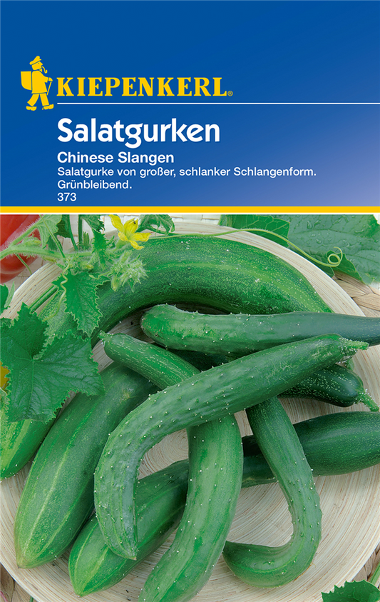 Gurke 'Chinese Slangen'