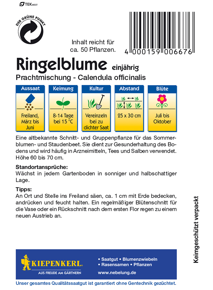 Ringelblume 'Prachtmischung'