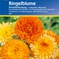 Ringelblume 'Prachtmischung'