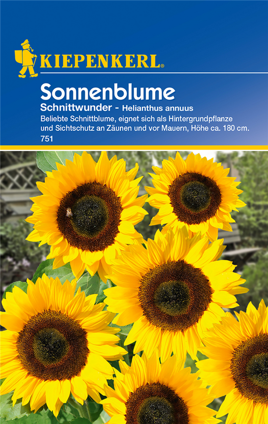 Sonnenblume 'Schnittwunder'