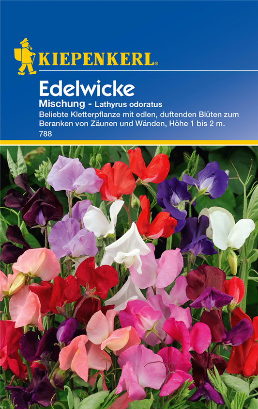 Edelwicke 'Mischung'