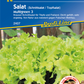 Eisbergsalat 'Multigreen 3'