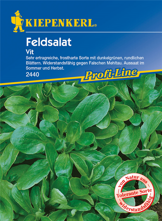 Feldsalat 'Vit'