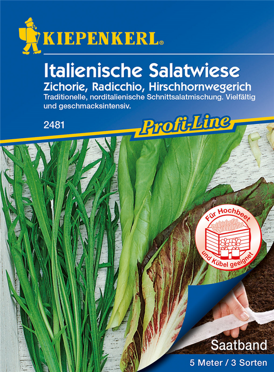 Italienische Salatwiese