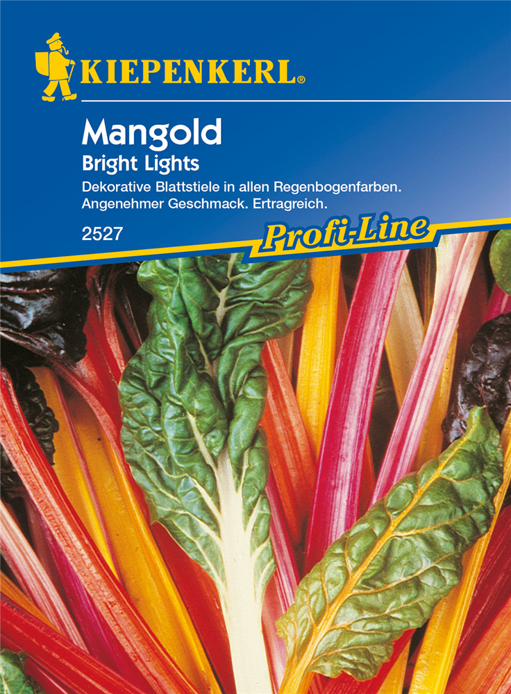 Blatt-Mangold 'Bright Lights'