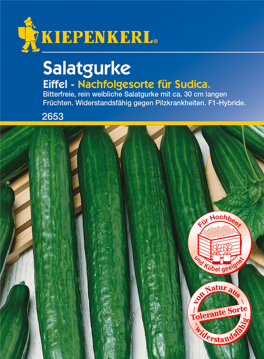 Salatgurke 'Eiffel'