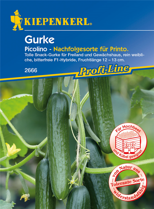 Salatgurke 'Picolino'