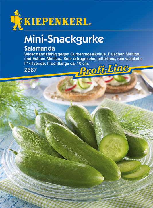 Mini-Snackgurke 'Salamanda F1'