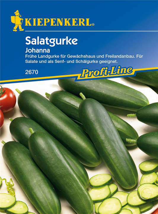 Salatgurke 'Johanna'