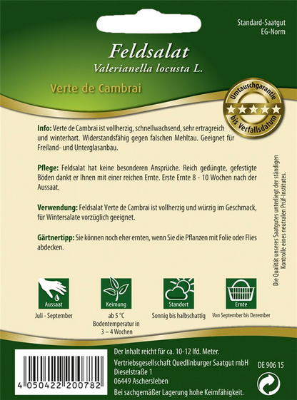 Feldsalatsamen 'Verte de Cambrai'