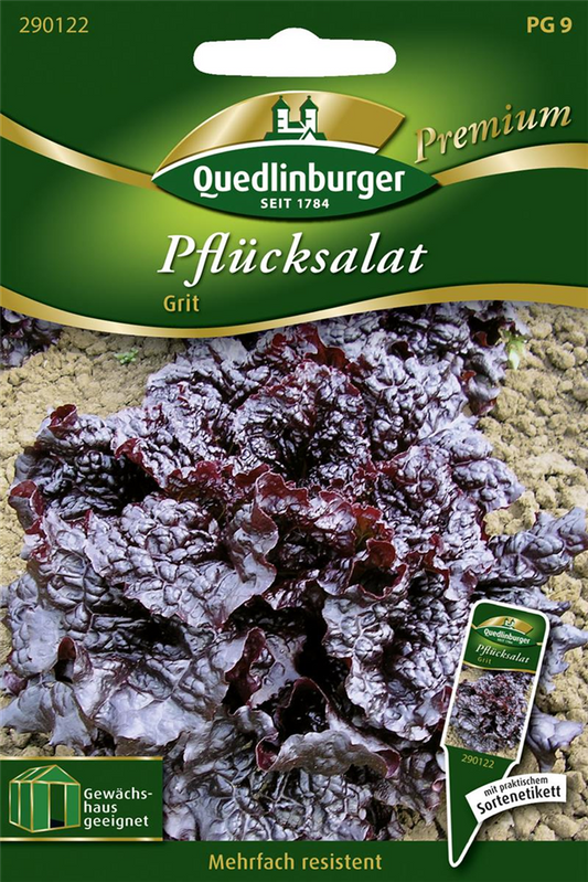Eichblattsalatsamen 'Grit'