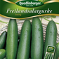 Gurkensamen 'Swing'