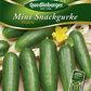 Gurkensamen 'Picolino'