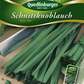 Schnittknoblauchsamen 'Kiss Me'