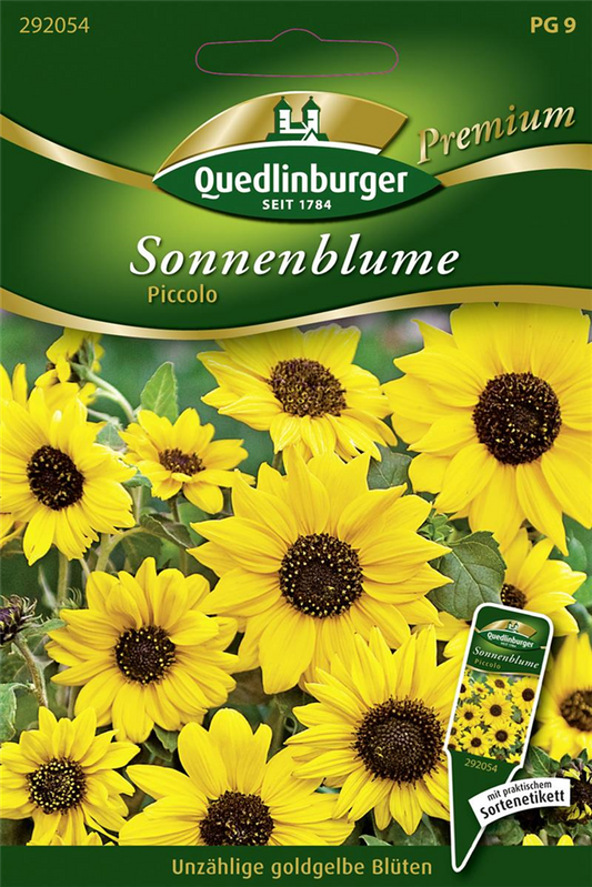Sonnenblumensamen 'Piccolo'