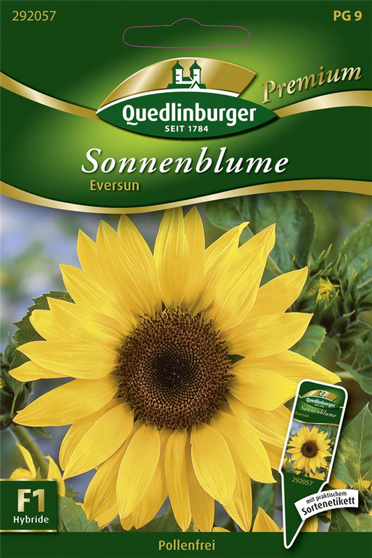 Sonnenblumennsamen 'Eversun'