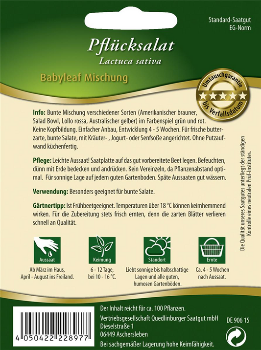 Babyleaf-Salat-Samen