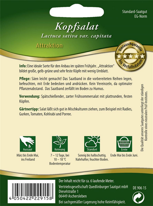 Kopfsalatsamen 'Attraktion'