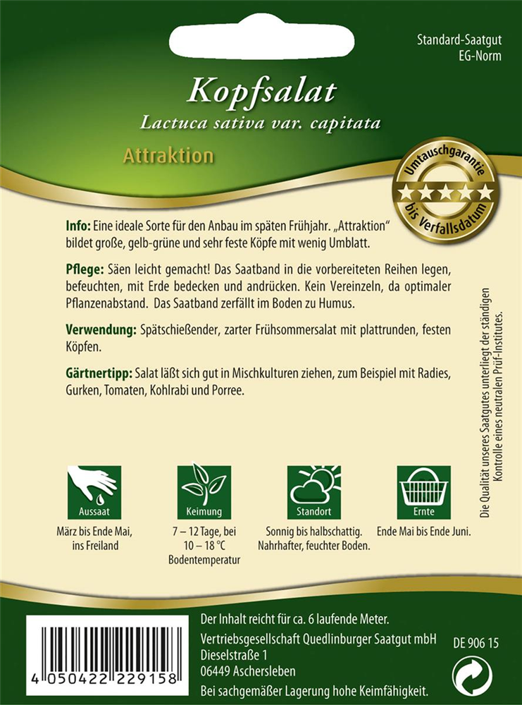 Kopfsalatsamen 'Attraktion'