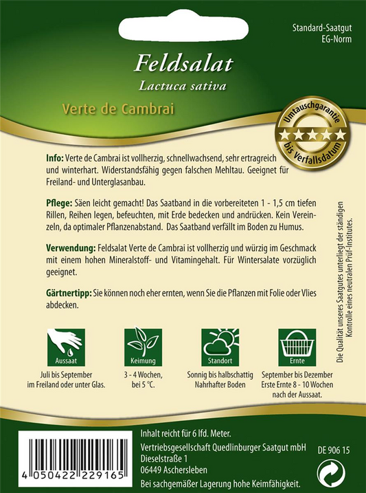 Feldsalatsamen 'Verte de Cambrai'