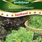 Salatsortimentsamen 'Blattlaussortiment'