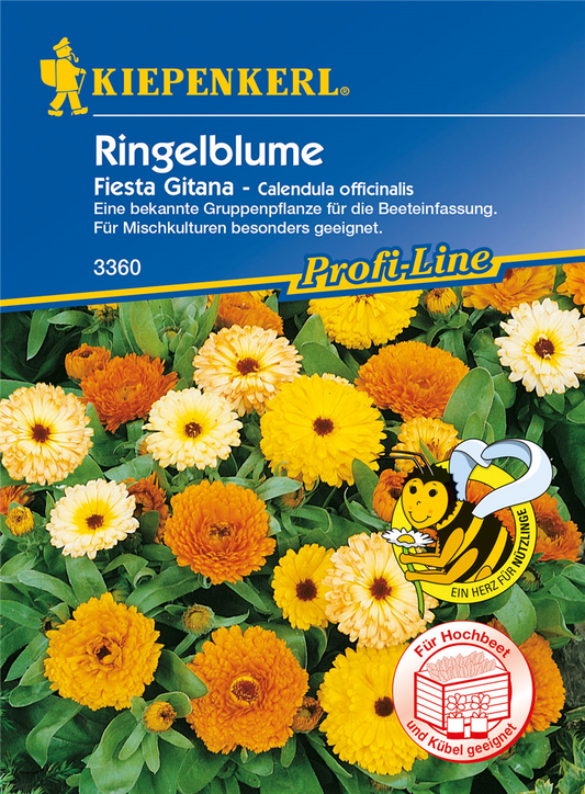 Ringelblume 'Fiesta Gitana'