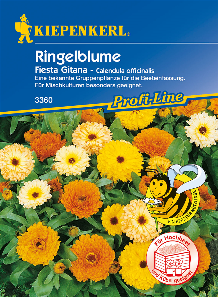 Ringelblume 'Fiesta Gitana'
