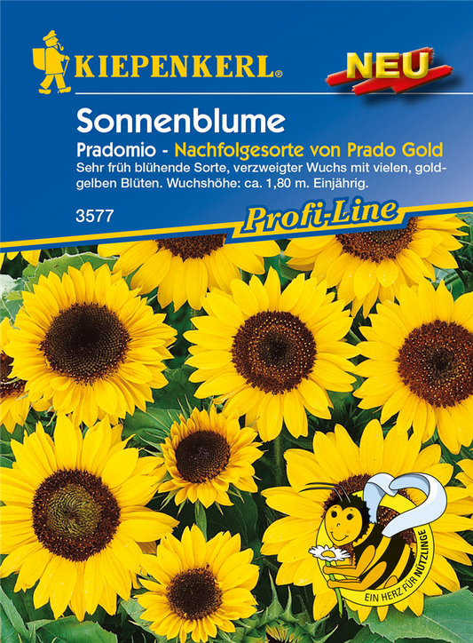 Sonnenblume 'Pradomio'