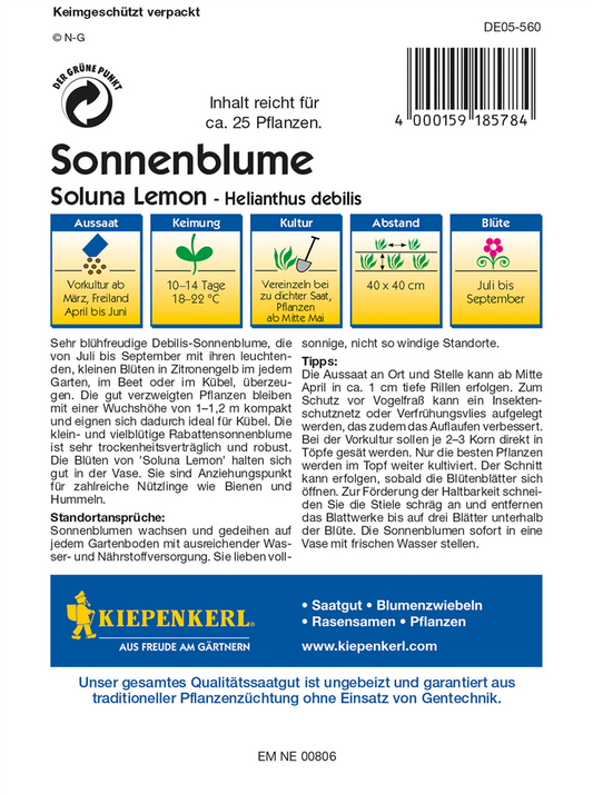 Sonnenblume 'Soluna Lemon'