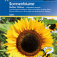 Sonnenblume 'Gelber Diskus'