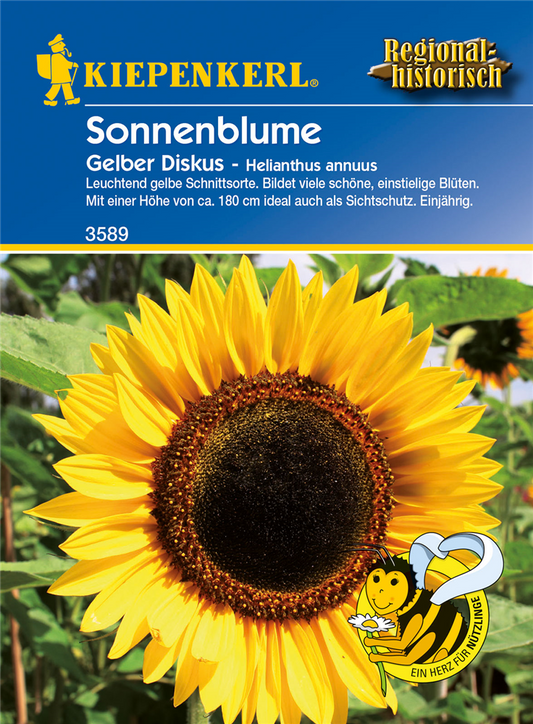 Sonnenblume 'Gelber Diskus'