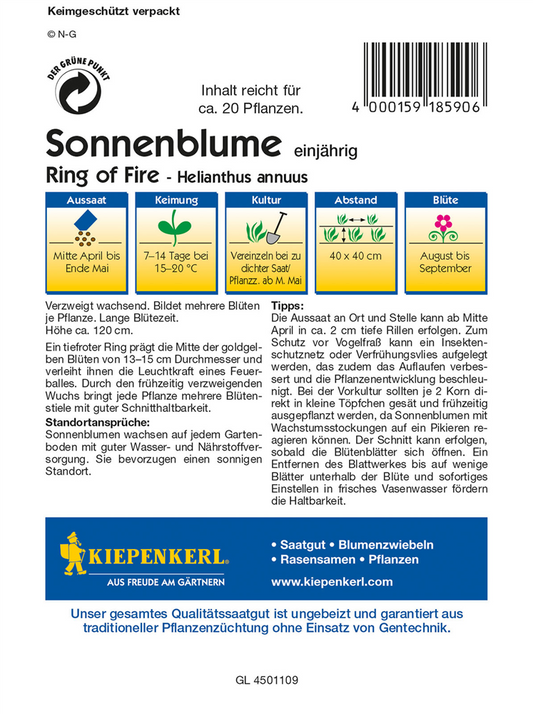 Sonnenblume 'Ring of Fire'