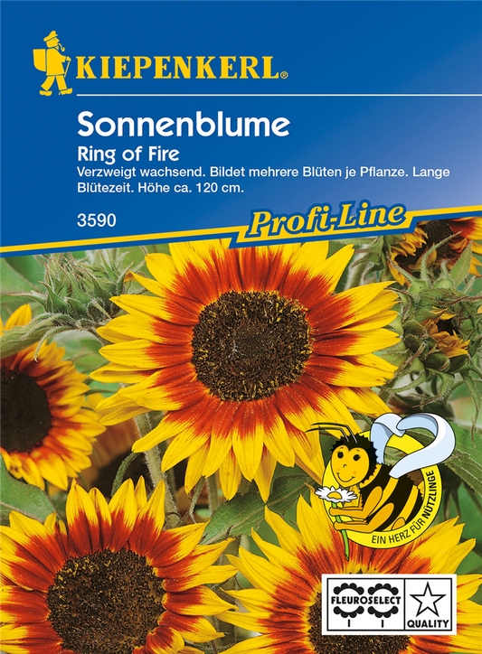 Sonnenblume 'Ring of Fire'