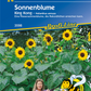 Sonnenblume 'King Kong'