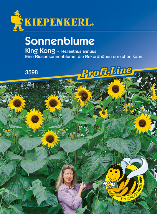 Sonnenblume 'King Kong'