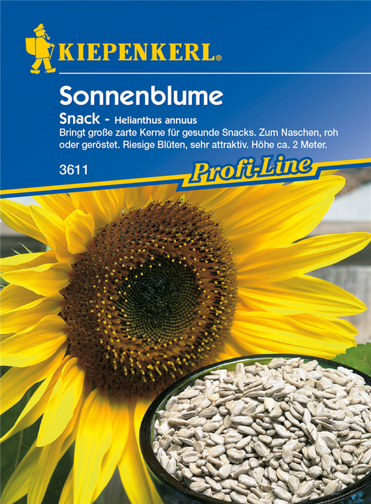Sonnenblume 'Snack'
