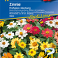 Haage-Zinnie 'Profusion'