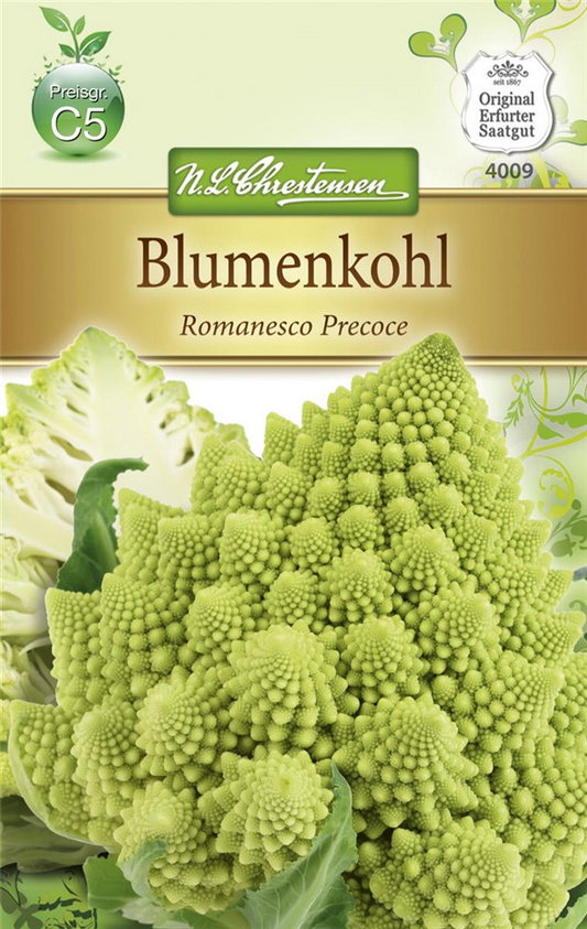 Romanescosamen 'Precoce'