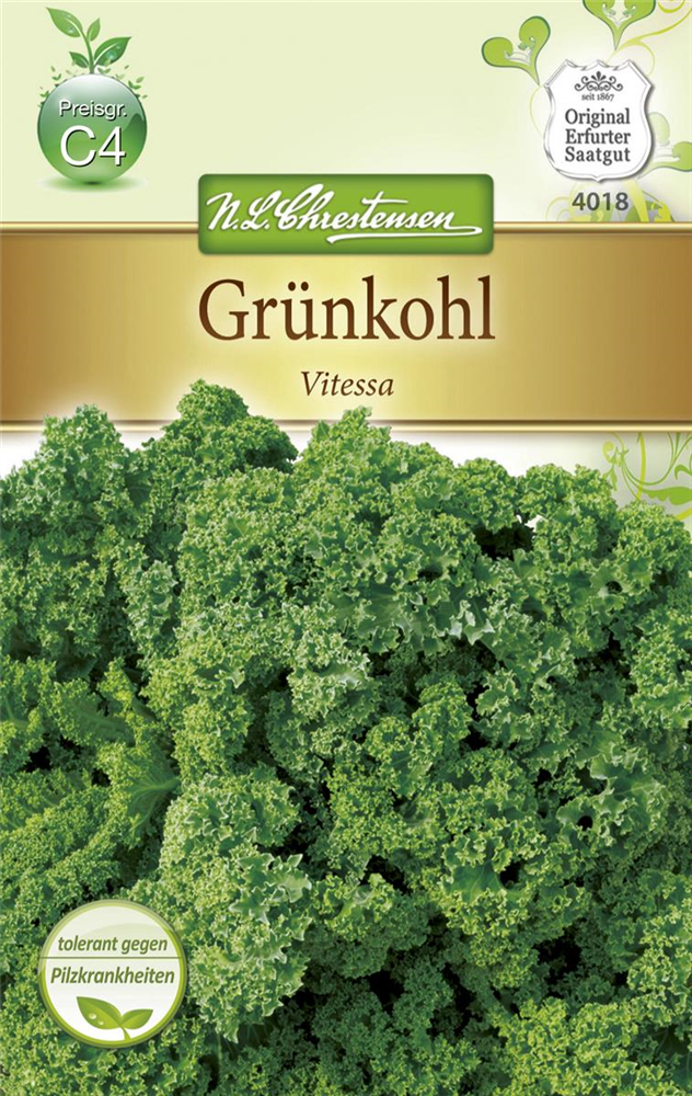 Grünkohlsamen 'Vitessa'