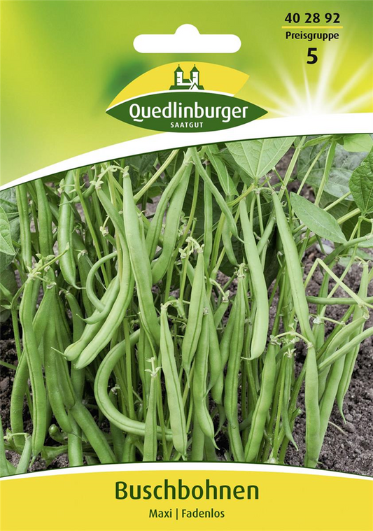 Buschbohnensamen 'Maxi'