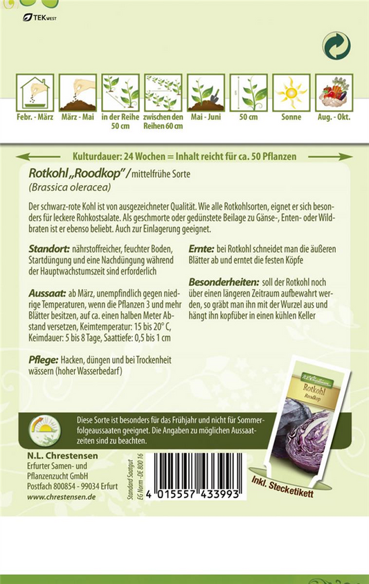 Rotkohlsamen 'Roodkop'