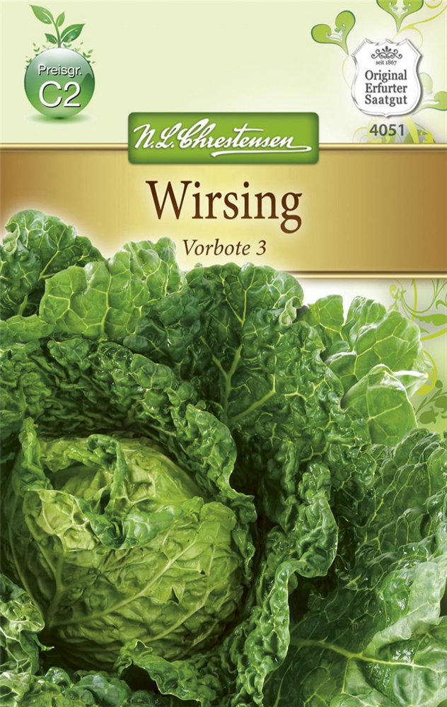 Wirsingkohlsamen 'Typ Vorbote'
