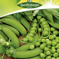 Markerbsensamen 'Rondo'
