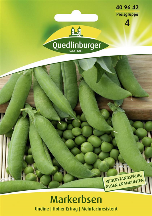 Markerbsensamen 'Undine'
