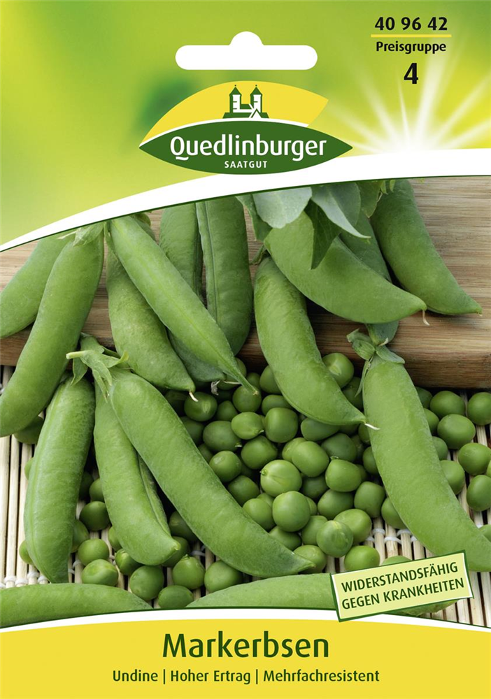Markerbsensamen 'Undine'