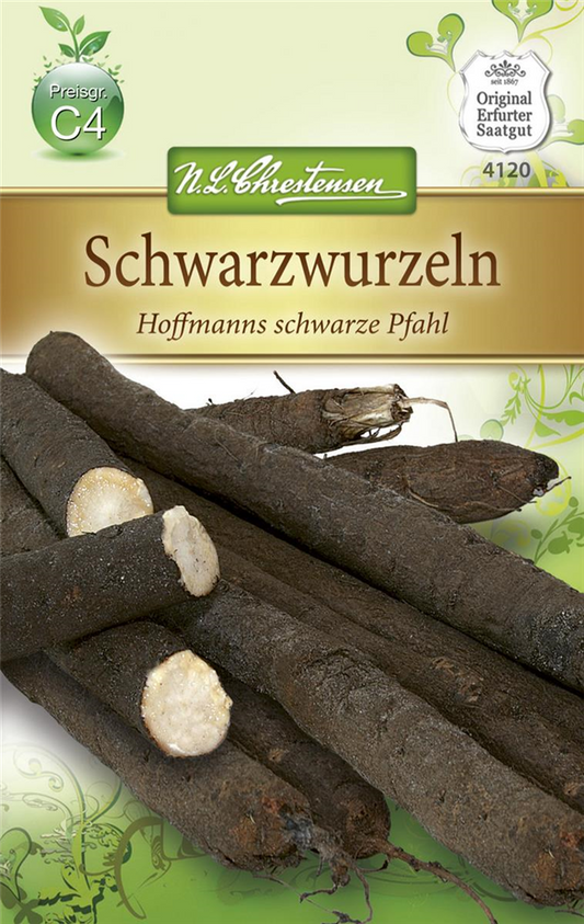 Schwarzwurzelsamen 'Hoffmanns schwarze Pfahl'