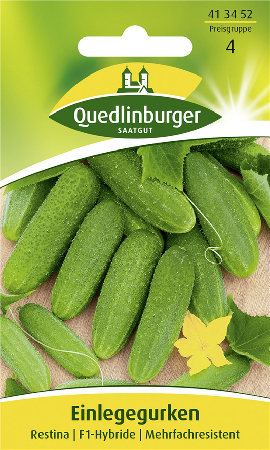 Gurkensamen 'Restina F1'